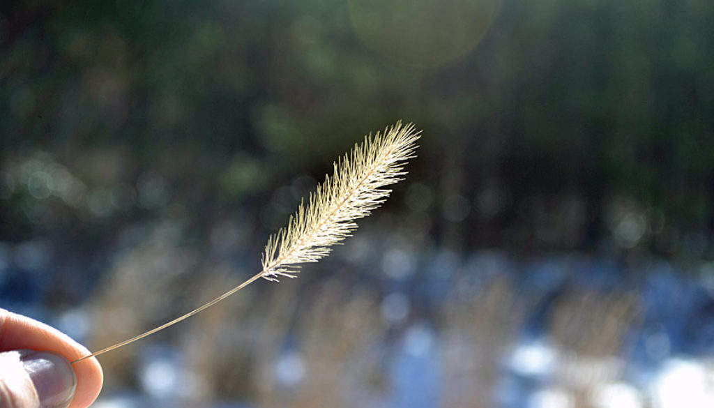 2018-03-04_HikingThroughWoods-(52)