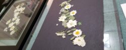 2021-02-27_Decorate-With-Pressed-Flowers (5)