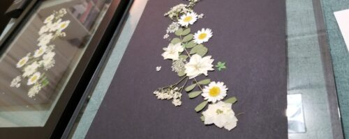 2021-02-27_Decorate-With-Pressed-Flowers (5)