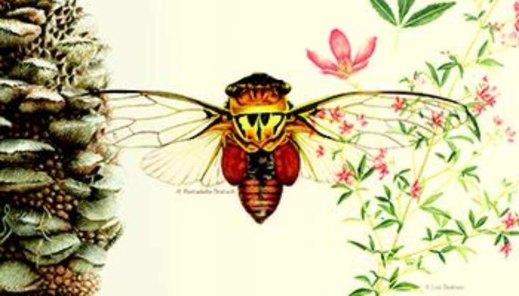 asset-v1-NewcastleX+NHI101x+2T2017+type@thumbnail+block@Course_Banner_05_378_x_226-375x200