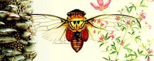 asset-v1-NewcastleX+NHI101x+2T2017+type@thumbnail+block@Course_Banner_05_378_x_226-375x200